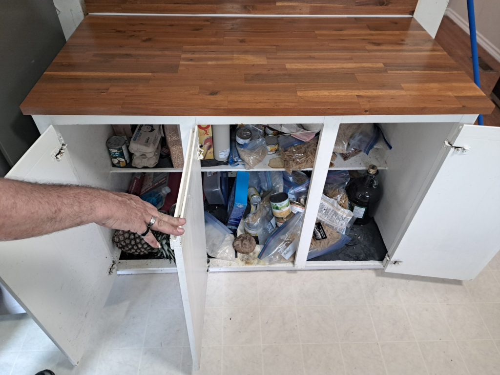Butcher-block counter and cabinet detail after an Ottawa kitchen update